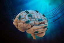 human-brain-cell-computer-is-here