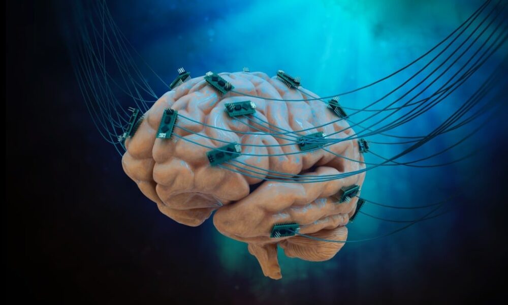 human-brain-cell-computer-is-here